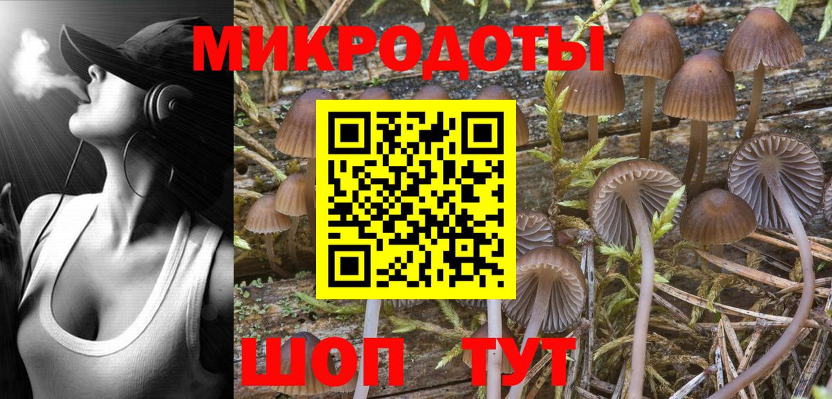 Псилоцибиновые грибы Cubensis Зеленогорск