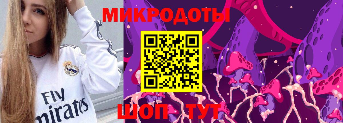 Зеленогорск  Галлюциногенные грибы мицелий  Вход с VPN 
